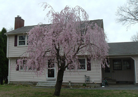 Our Office Building - Doubles as our house - Paid for by my day job